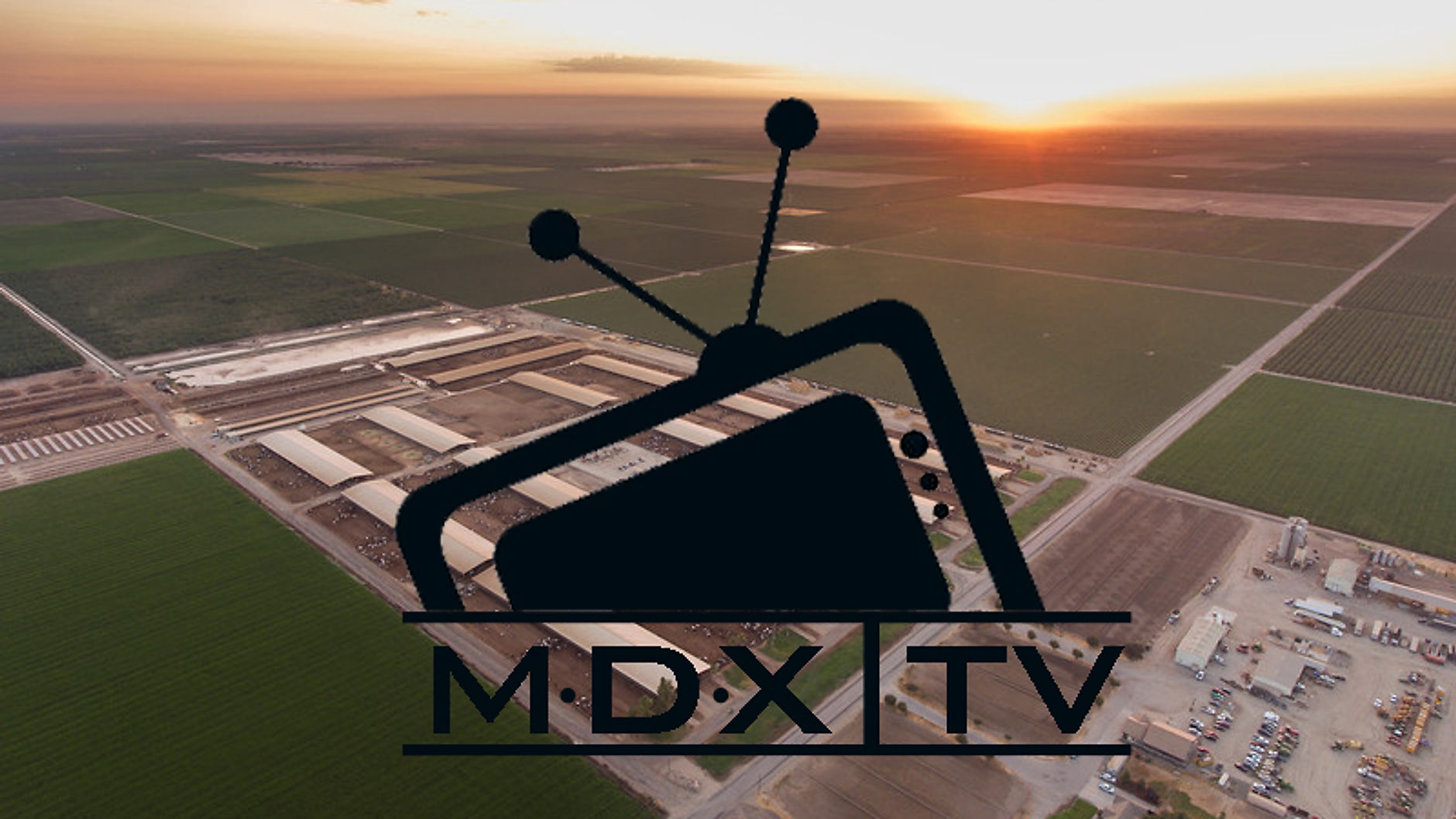 MDX | TV